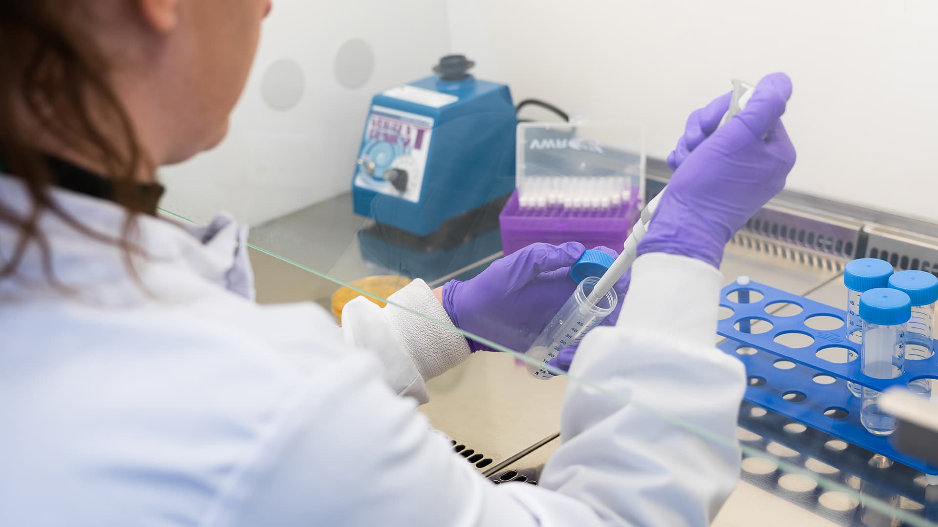 Scientist doing a test in a laboratory