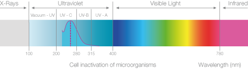 how UV works web